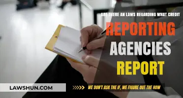 Credit Reporting Laws: What Agencies Can and Cannot Report