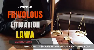 Frivolous Lawsuits: Legal Consequences and Anti-SLAPP Protections Explained