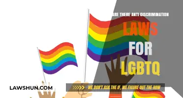 Anti-Discrimination Laws: Protecting LGBTQ Rights