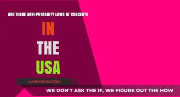 Profanity at Concerts: What are US Laws?