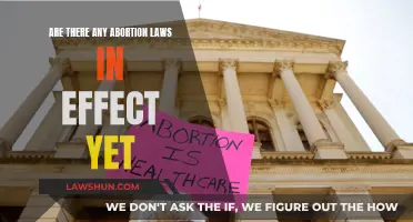 Abortion Laws: What's Changed and What's Next?