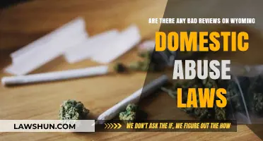 Wyoming Domestic Abuse Laws: Uncovering Criticisms and Public Concerns