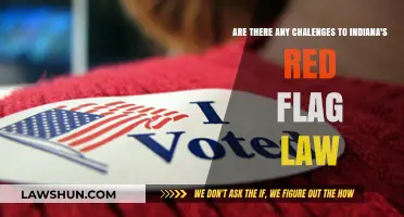 Indiana's Red Flag Law: Challenges and Implementation Hurdles Explored