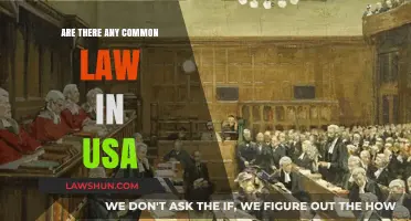 Common Law in the US: Understanding the Basics