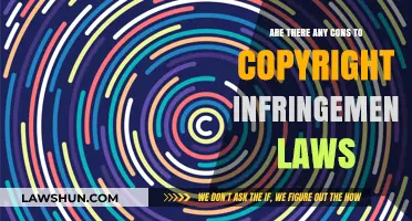 Copyright Infringement Laws: Unintended Consequences and Hidden Drawbacks Explored