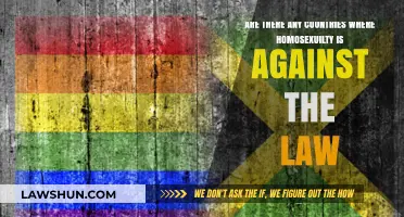 Where Love is Outlawed: Countries Criminalizing Homosexuality Today