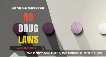 Exploring Nations Without Drug Laws: A Global Legal Perspective