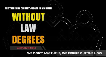 Do Michigan Judges Need Law Degrees? Current Qualifications Explained