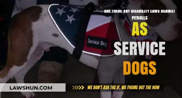Pitbulls as Service Dogs: Navigating Disability Laws and Restrictions