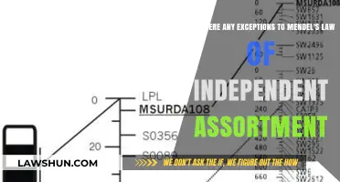 Exceptions to Mendel's Law of Independent Assortment: Unraveling Genetic Mysteries