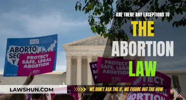 Exceptions to Abortion Law: Exploring the Grey Areas