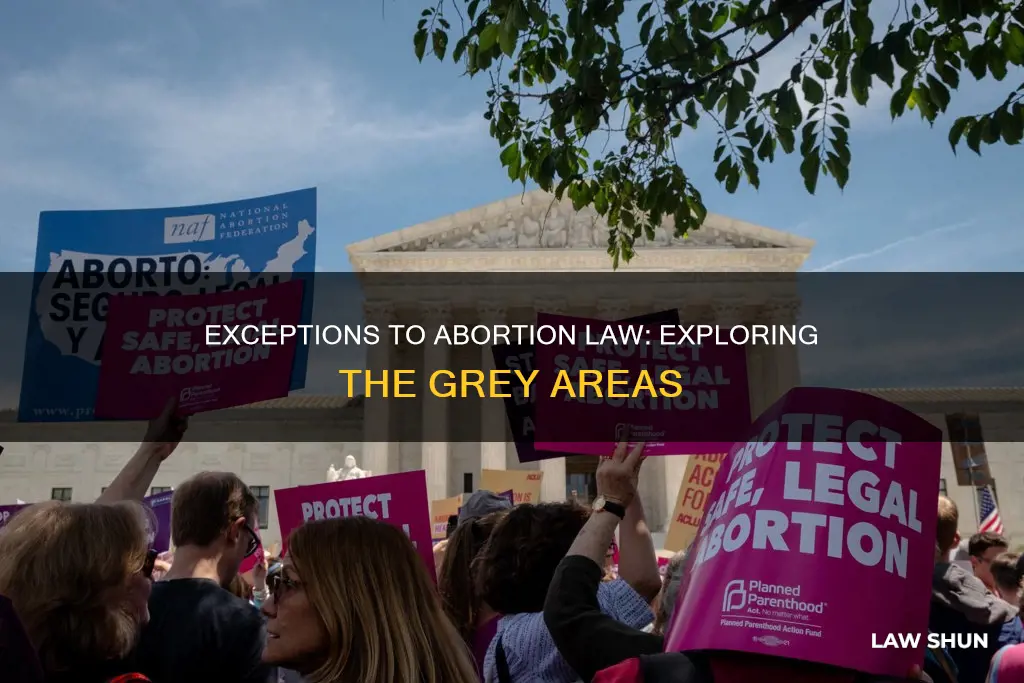 are there any exceptions to the abortion law