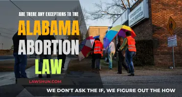 Alabama Abortion Law: What Exceptions Exist?