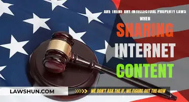 Sharing Online Content: Navigating Intellectual Property Rights and Legal Boundaries