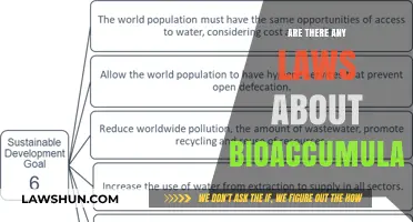 Understanding Bioaccumulation: Legal Frameworks and Environmental Protection Laws