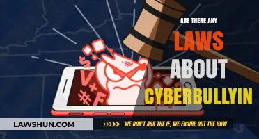 Understanding Cyberbullying Laws: Legal Protections and Consequences Explained