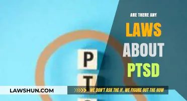 Understanding PTSD Legal Protections: Laws, Rights, and Support Explained