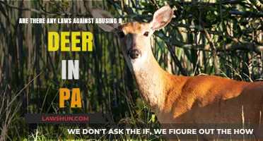 Pennsylvania Deer Abuse Laws: Understanding Legal Protections for Wildlife