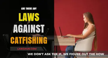 Catfishing Legalities: Understanding Laws and Consequences of Online Deception