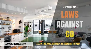 Are There Any Laws Against Co-Living or Co-Working Spaces?