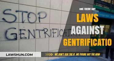 Legal Limits: Are There Laws Against Gentrification and Displacement?