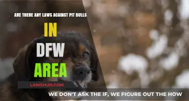 DFW Pit Bull Laws: What Owners Need to Know