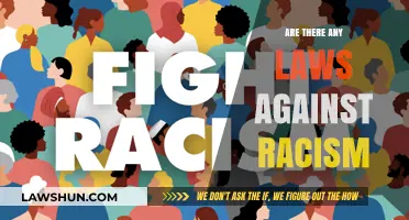 Are There Any Laws Against Racism? Exploring Legal Protections and Limitations