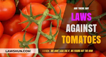 Are Tomatoes Legal? Exploring Laws Surrounding This Popular Fruit