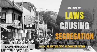 Legal Loopholes and Segregation: Uncovering Laws That Divide Communities