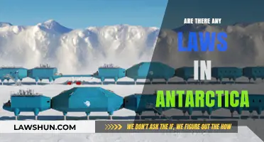Exploring Antarctica's Legal Landscape: Do Laws Govern the Frozen Continent?