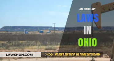 Ohio's Legal Landscape: Exploring the State's Laws and Regulations