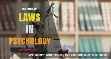 Exploring the Legal Frameworks Governing Psychological Practices and Research
