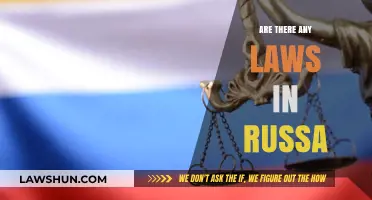 Exploring Russia's Legal Landscape: Laws, Regulations, and Enforcement Explained