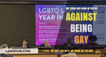 US Laws and LGBTQ+ Rights: Are There Anti-Gay Statutes?