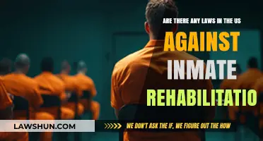 US Inmate Rehabilitation: Legal Barriers or Supportive Framework?