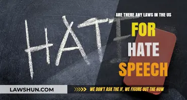 Understanding US Laws on Hate Speech: Legal Boundaries and Protections