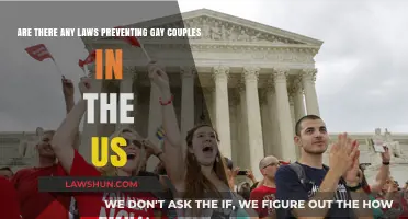 Legal Protections for Gay Couples in the US: An Overview