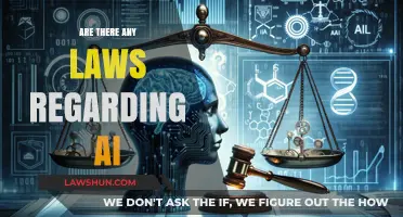 Navigating AI Regulations: Understanding Legal Frameworks for Artificial Intelligence