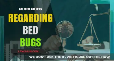 Understanding Legal Protections: Bed Bug Laws and Tenant Rights Explained