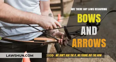 Legal Guidelines for Owning and Using Bows and Arrows Explained