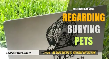 Pet Burial Laws: What You Need to Know Before Saying Goodbye