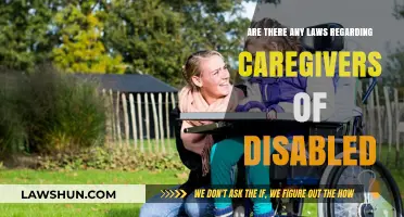 Legal Protections and Rights for Caregivers of Disabled Individuals Explored