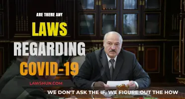 COVID-19 Legal Landscape: Understanding Laws and Regulations During the Pandemic