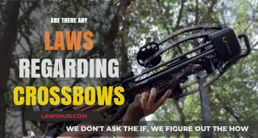 Crossbow Legalities: Understanding Laws and Regulations for Ownership and Use