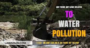 Understanding Legal Protections Against Water Pollution: Laws and Regulations Explained