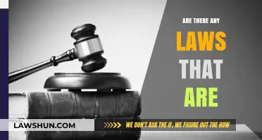 Are There Any Laws That Are Unjust or Outdated?