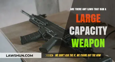 Are Large Capacity Weapons Legal? Exploring Bans and Regulations