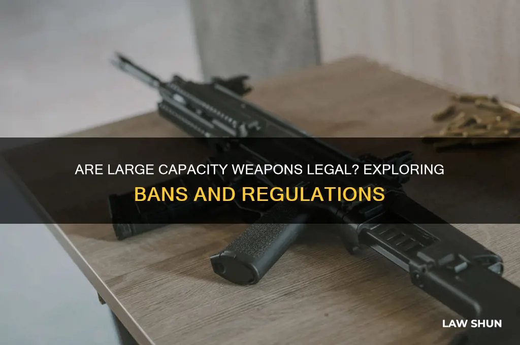 are there any laws that ban a large capacity weapon