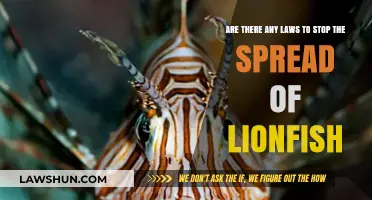 Combating Lionfish Invasion: Legal Measures to Halt Their Spread