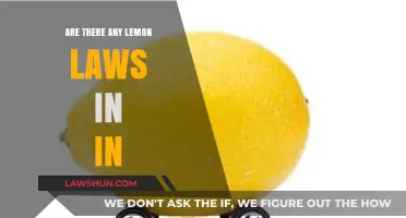 Understanding Lemon Laws in Indiana: Consumer Rights and Protections Explained